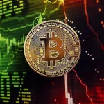 Bitcoin Retail Investors